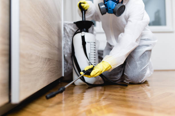 Best Cockroach Control Services  in Bagley, MN