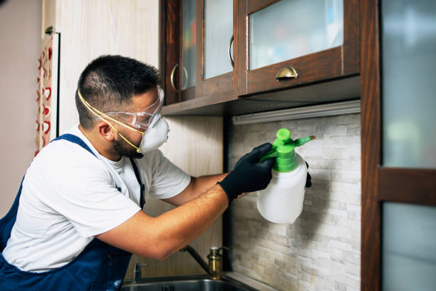 Best Local Pest Control Services  in Bagley, MN