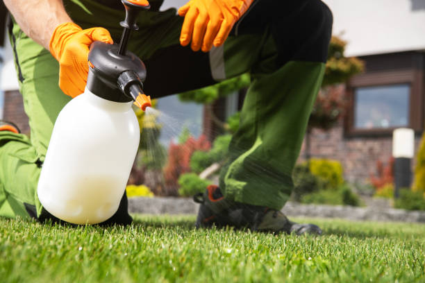 Best Pest Control for Restaurants  in Bagley, MN
