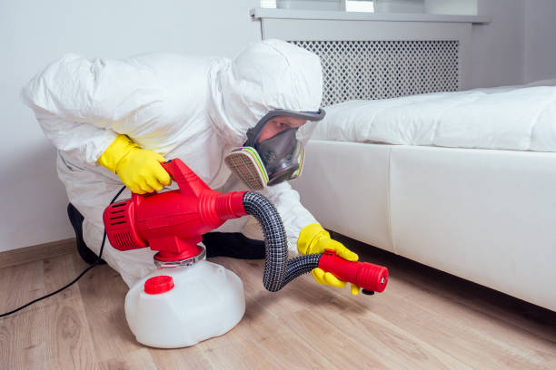 Best Ant Control Services  in Bagley, MN