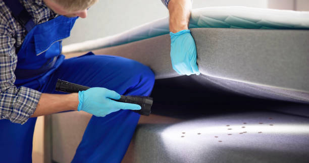 Pest Control for Restaurants in Bagley, MN