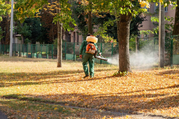 Best Emergency Pest Control  in Bagley, MN