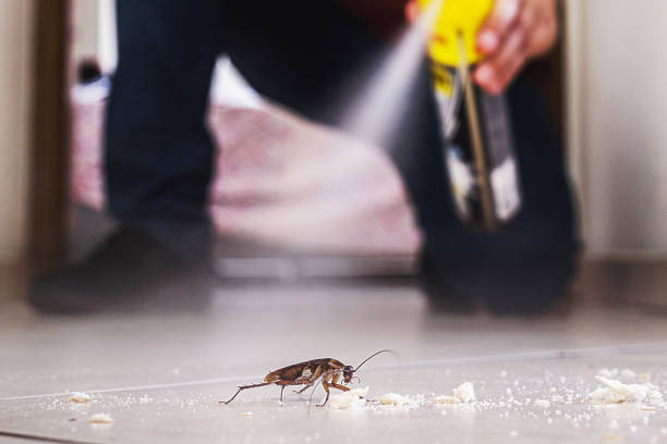 Wildlife Control Services in Bagley, MN