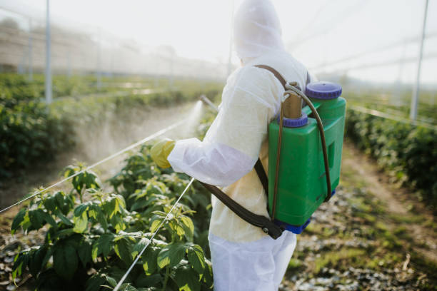 Reliable Bagley, MN Pest Control Solutions